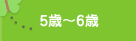 5〜6歳